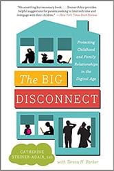 The Big Disconnect Book